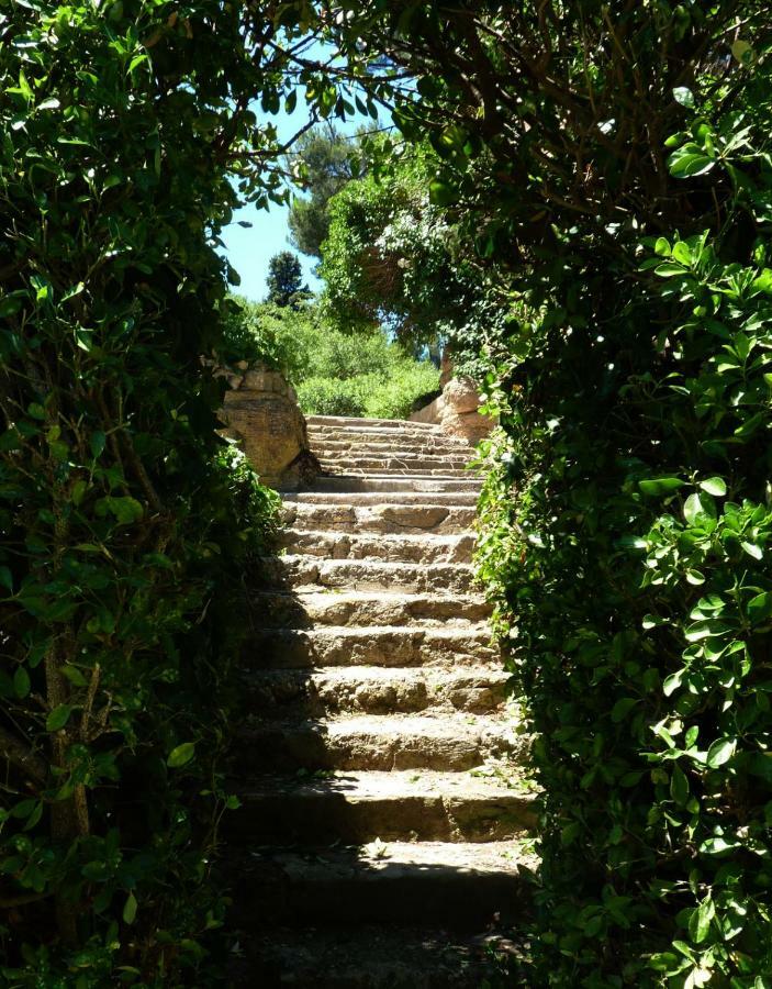 Bed and Breakfast La Royante Aubagne Esterno foto